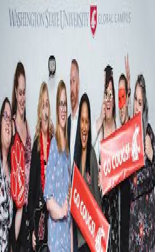 MSM Group - Washington State University